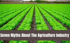 Modern agriculture industry myths and realities explained